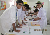 Lab Activities